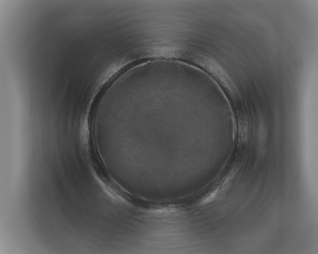 X0000111450674200908101035