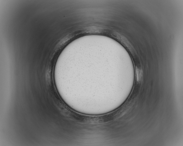X0000111450675200908101035