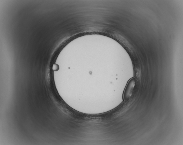X0000111450676200908101035