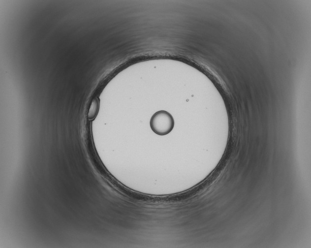 X0000111450677200908101035