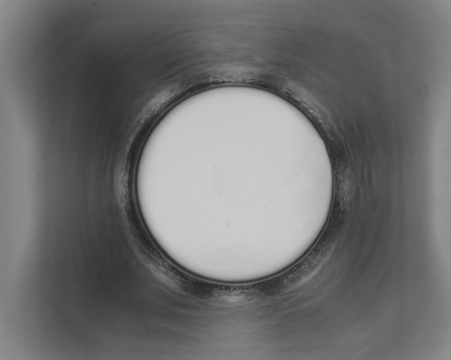 X0000111450679200908101035