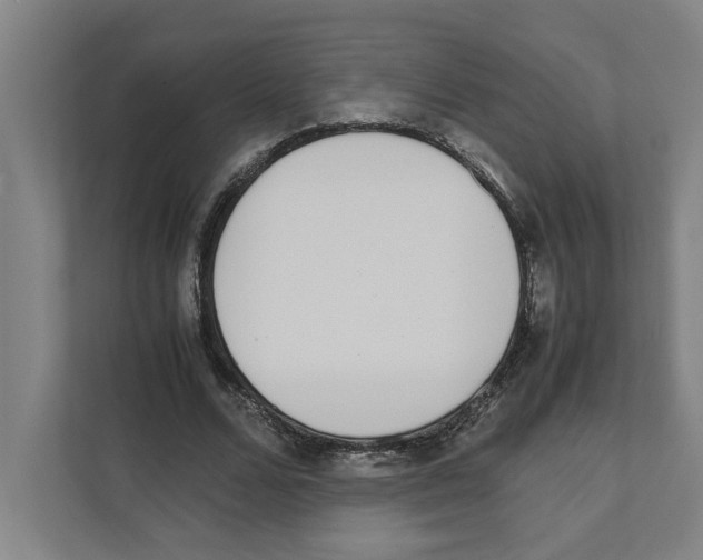 X0000111450680200908101035