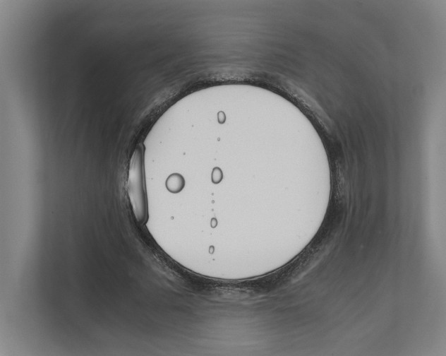 X0000111450681200908101035