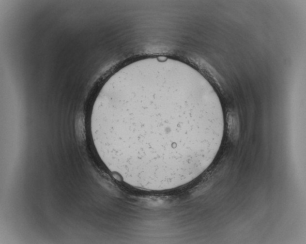 X0000111450684200908101035