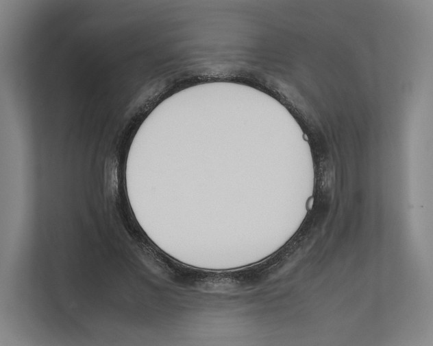 X0000111450685200908101035