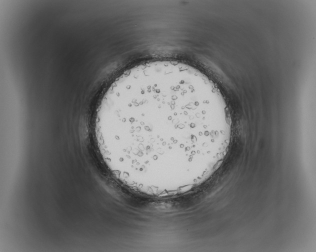 X0000111450687200908101035