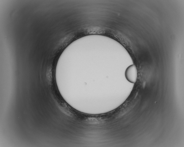 X0000111450690200908101035