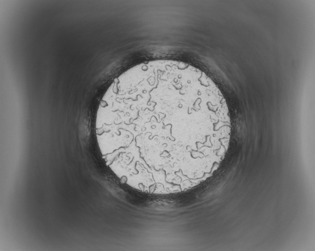 X0000111450691200908101035