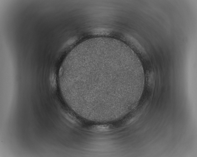 X0000111450692200908101035