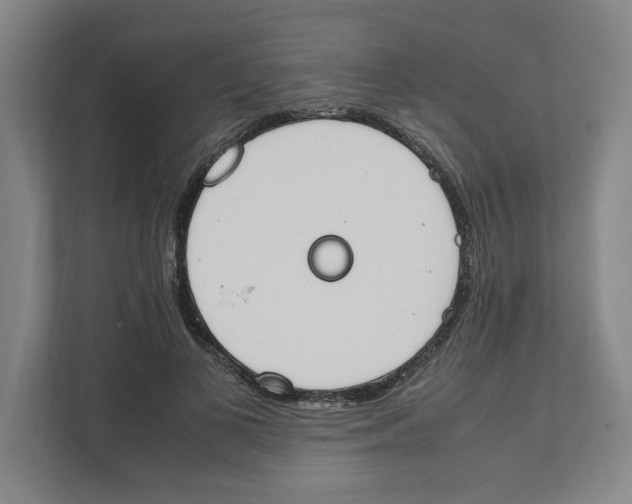X0000111450693200908101035