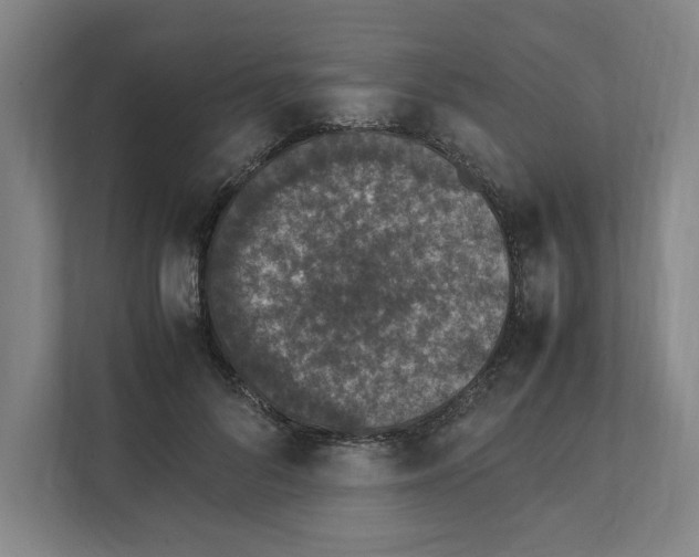 X0000111450696200908101035