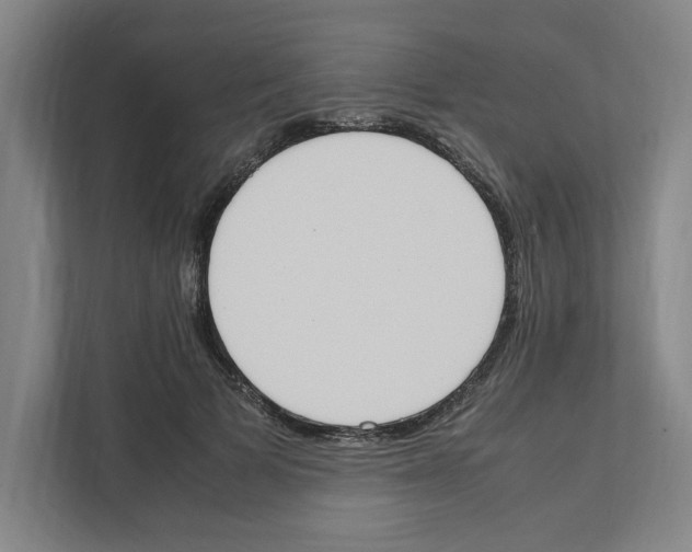 X0000111450697200908101035