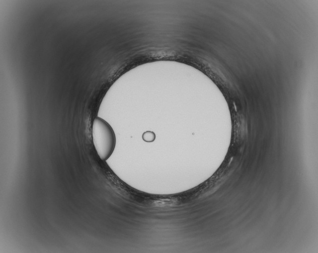 X0000111450700200908101035