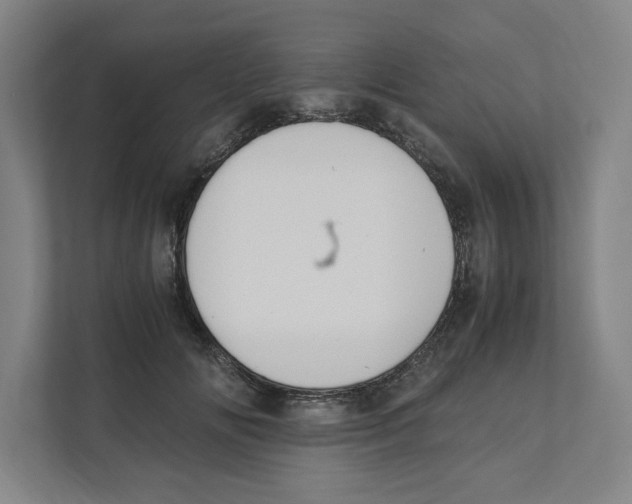 X0000111450702200908101035