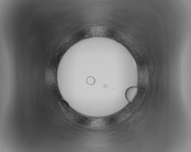 X0000111450705200908101035