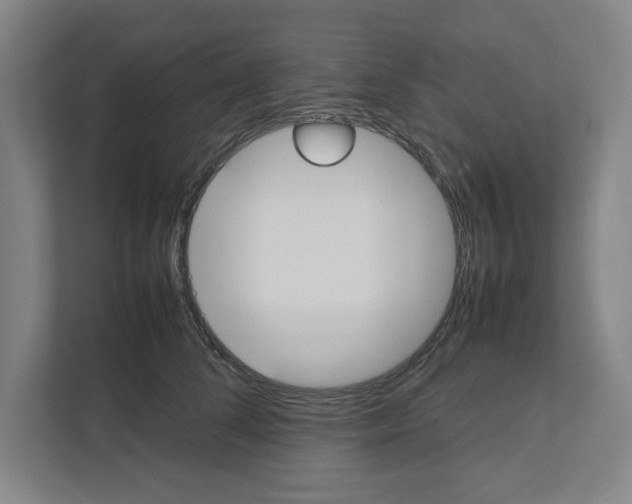 X0000111450708200908101035