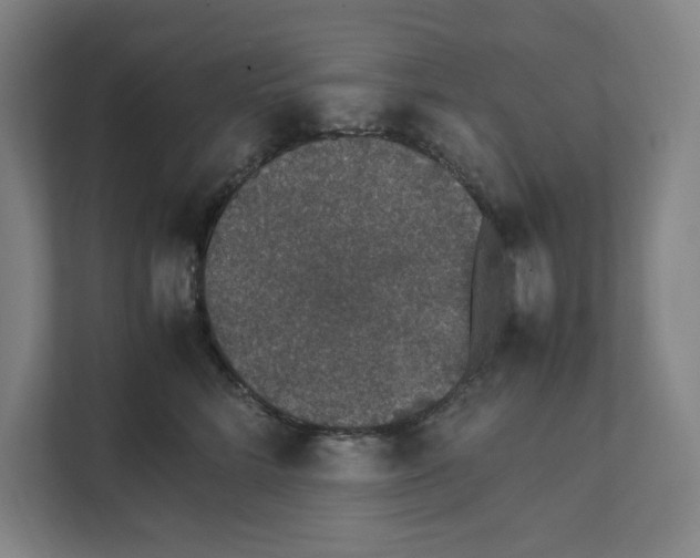 X0000111450712200908101034