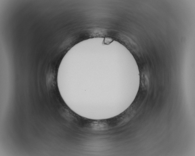 X0000111450714200908101034