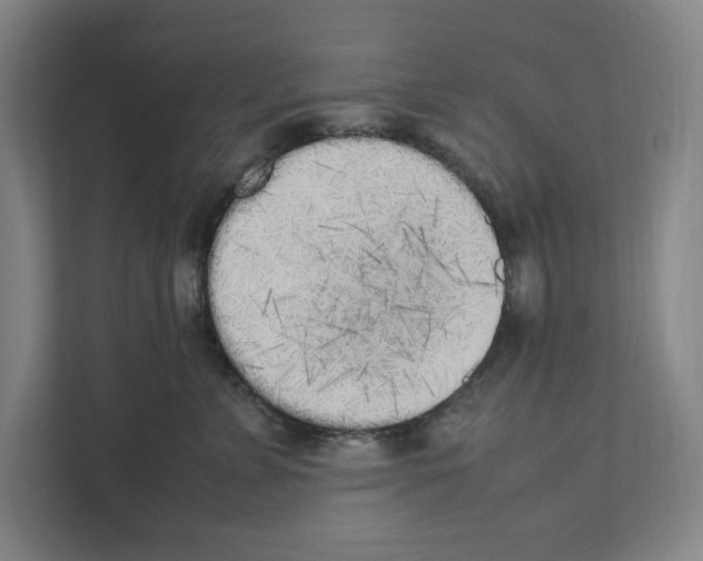 X0000111450715200908101034
