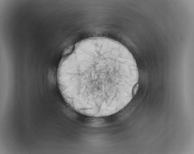 X0000111450719200908101034
