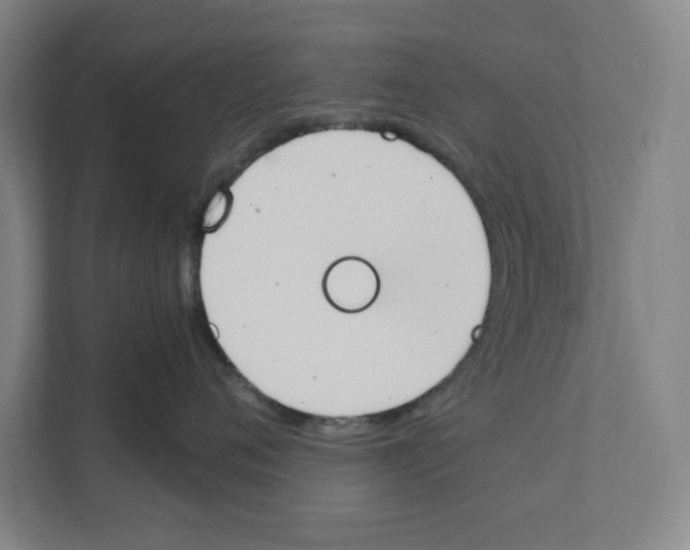 X0000111450720200908101034