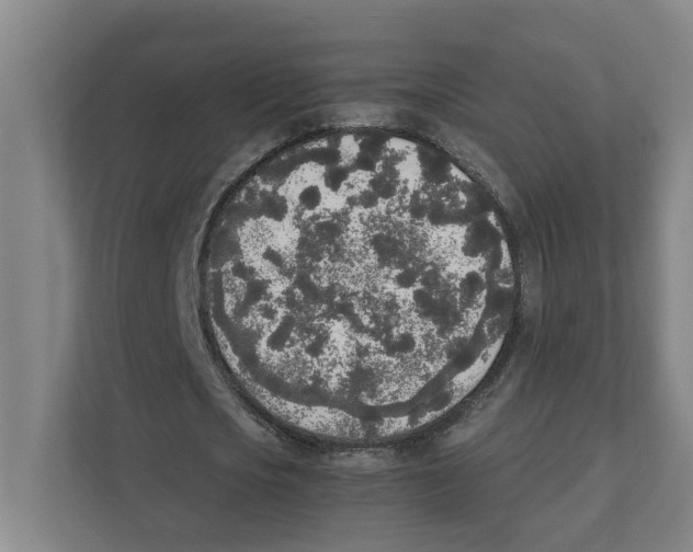 X0000111450721200908101034