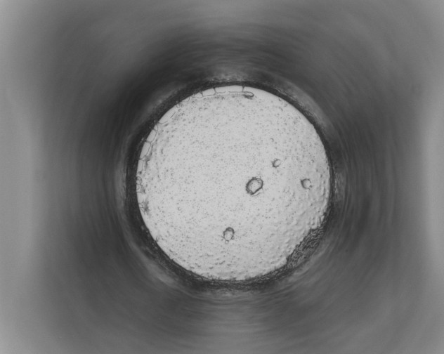 X0000111450722200908101034