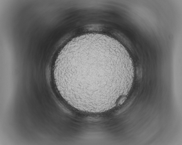 X0000111450725200908101034
