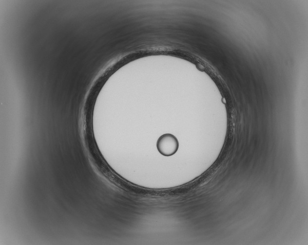 X0000111450726200908101034