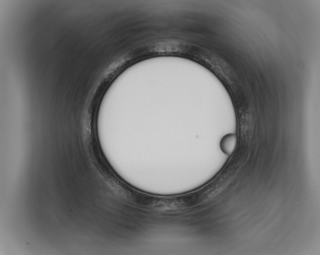 X0000111450727200908101034