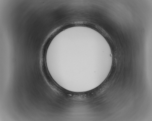 X0000111450728200908101034