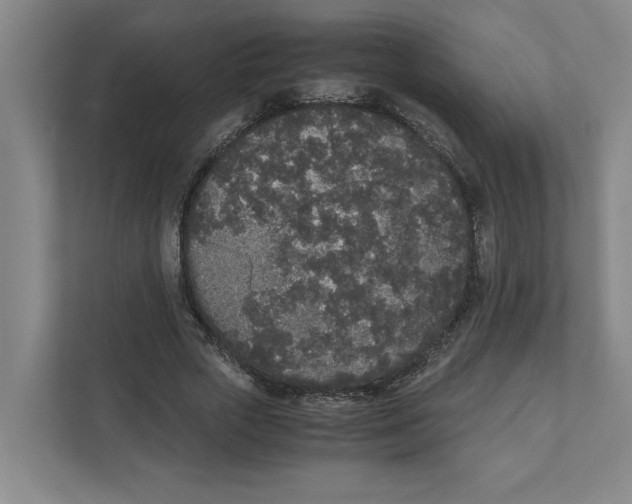 X0000111450729200908101034
