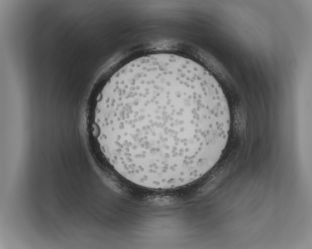 X0000111450730200908101034