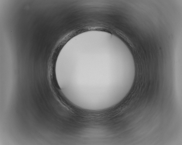 X0000111450732200908101034