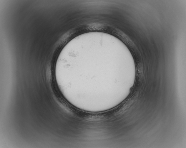 X0000111450734200908101034