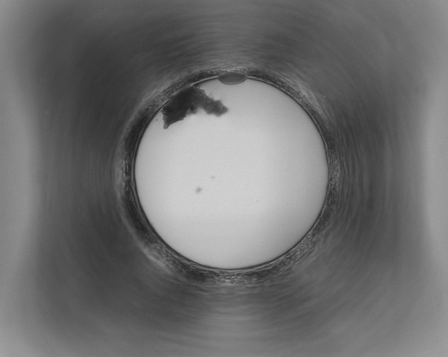 X0000111450736200908101034