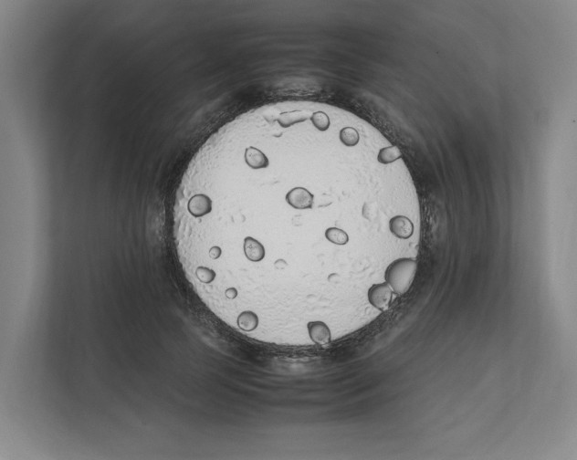 X0000111450745200908101034