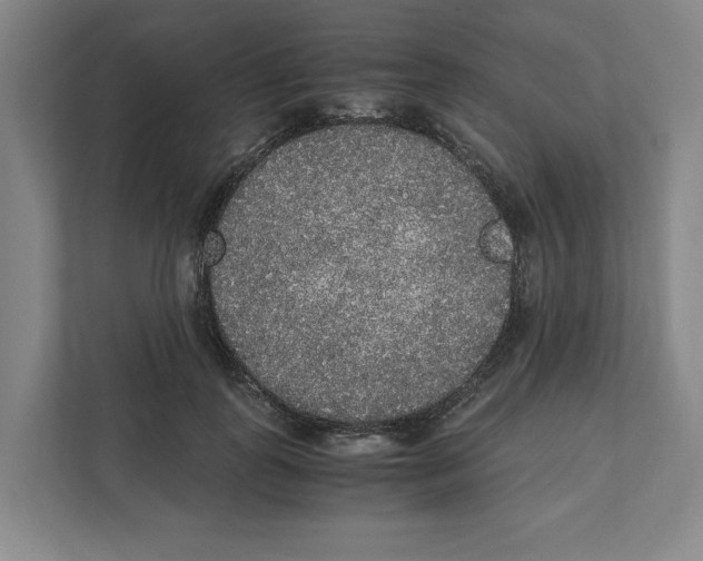 X0000111450747200908101034