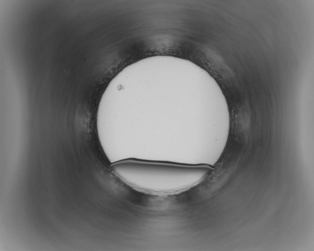 X0000111450750200908101034