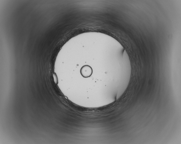 X0000111450752200908101034