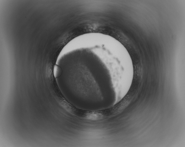 X0000111450754200908101034