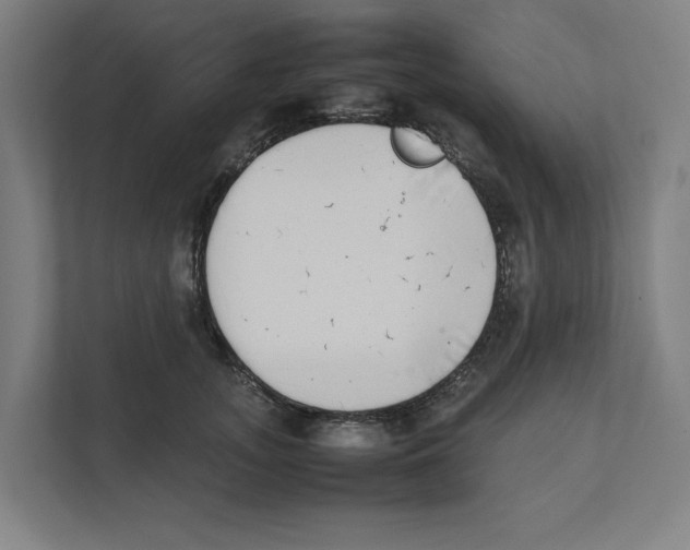 X0000111450755200908101034