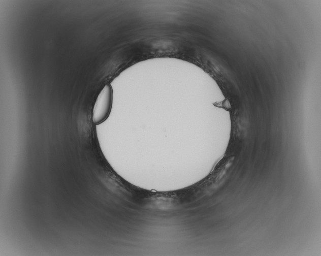 X0000111450756200908101034