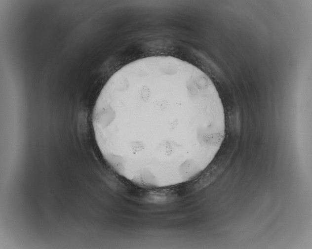 X0000111450757200908101034