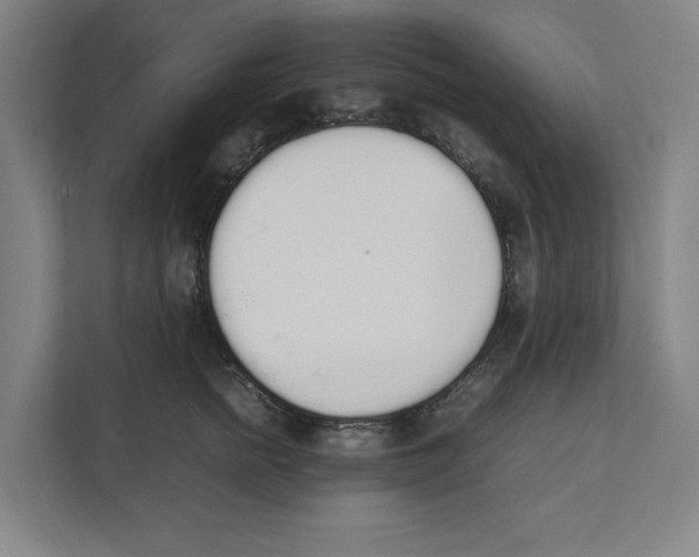 X0000111450758200908101034