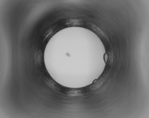 X0000111450760200908101034