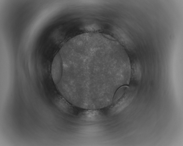 X0000111450762200908101034
