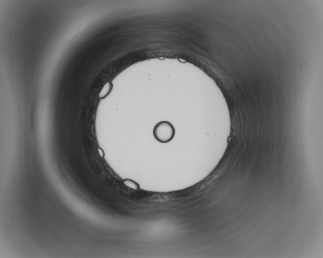 X0000111450764200908101034