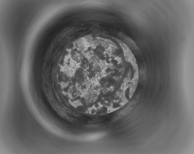 X0000111450765200908101034