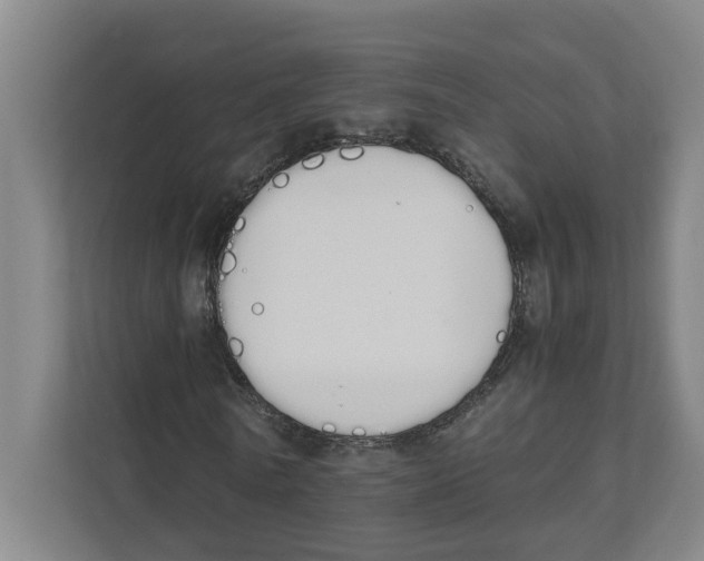 X0000111450770200908101034